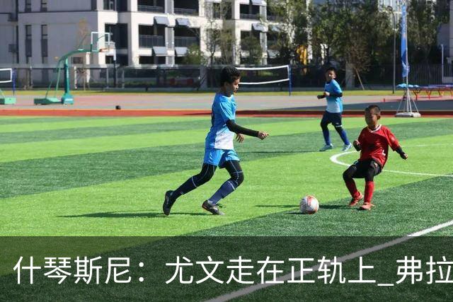 什琴斯尼：尤文走在正轨上 弗拉霍维奇非常出色